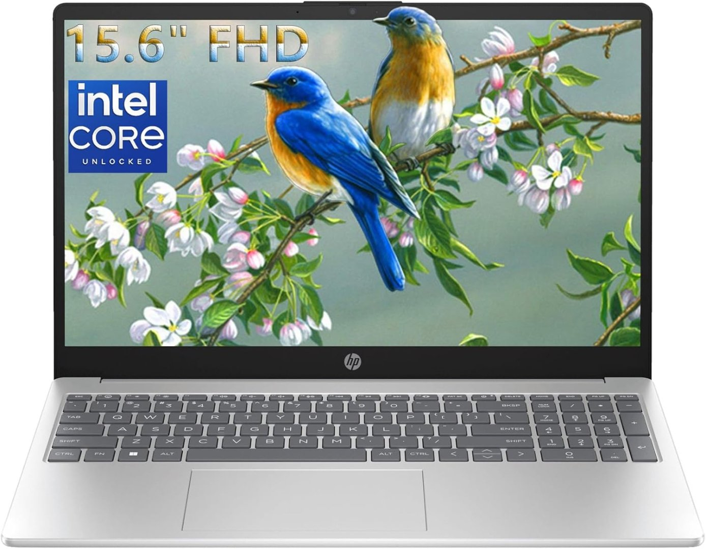 HP 15.6" FHD Laptop with Office 365, 16GB RAM, 512GB SSD, Intel N100, Windows 11, & Copilot AI - 2026 Edition